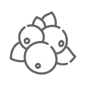 MR FOG BLUE RAZZ STEEZY