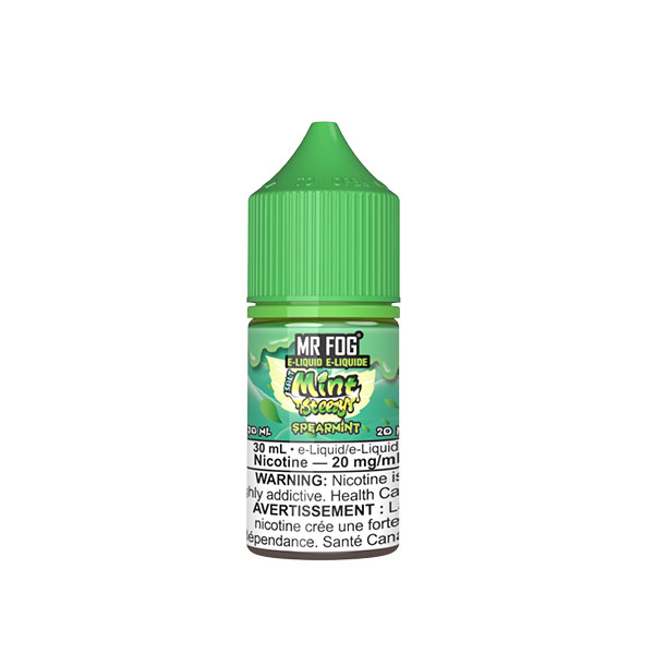 37-MINT_STEEZY_E-LIQUID