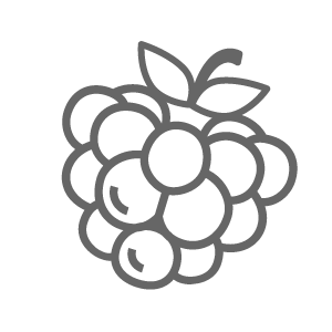 MR FOG Raspberry Steezy